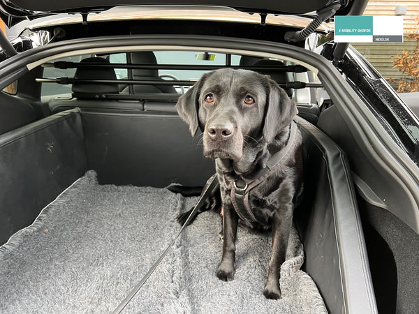 Tesla Model Y Dog Guard - Separador de maletero