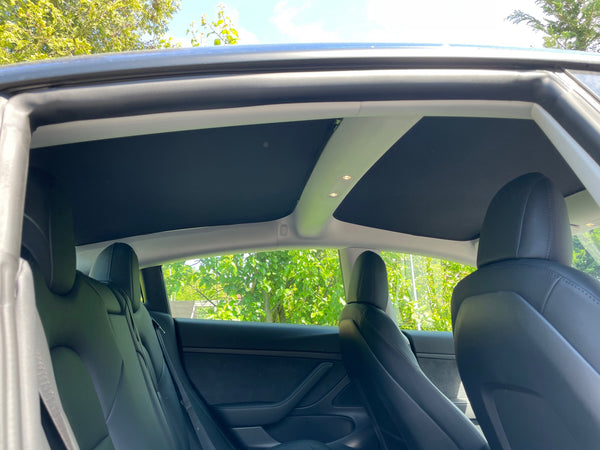 Juego de 4 piezas de elementos de parasol Tesla Model 3 - para todos los M3 excepto 2021 de producción en EE. UU.
